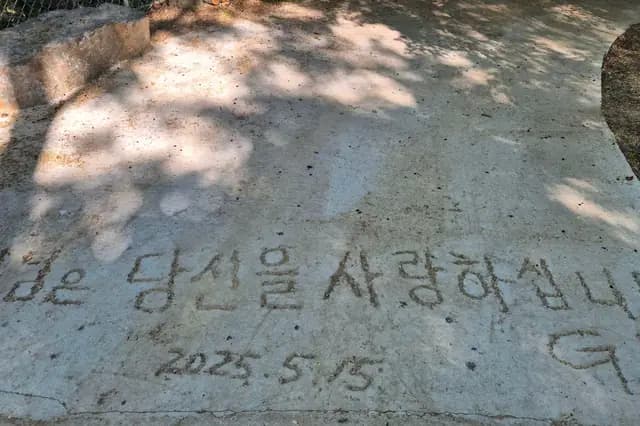 믓믓*** 님의 수상작 대표 사진