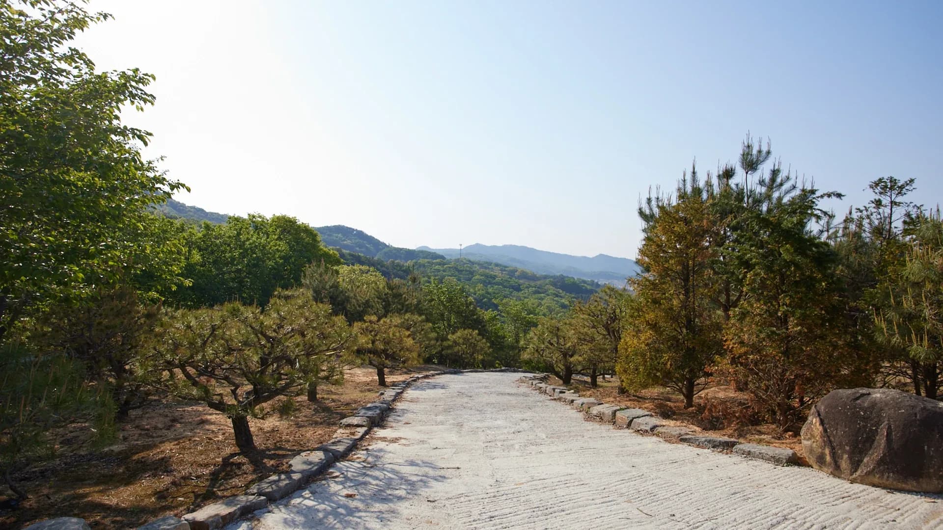 Pine Road