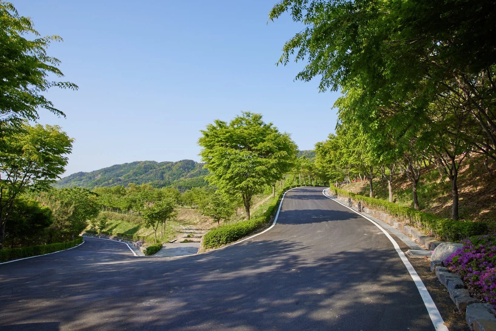 Z Road